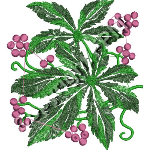 Grape_EMB1660 Thumbnail