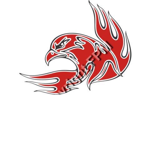 1256 Flaming Bird Thumbnail