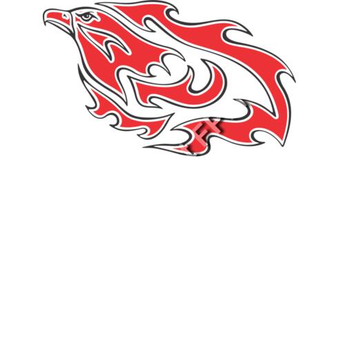 1520 Flaming Bird Thumbnail