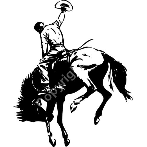 605 Rodeo Cowboy Thumbnail