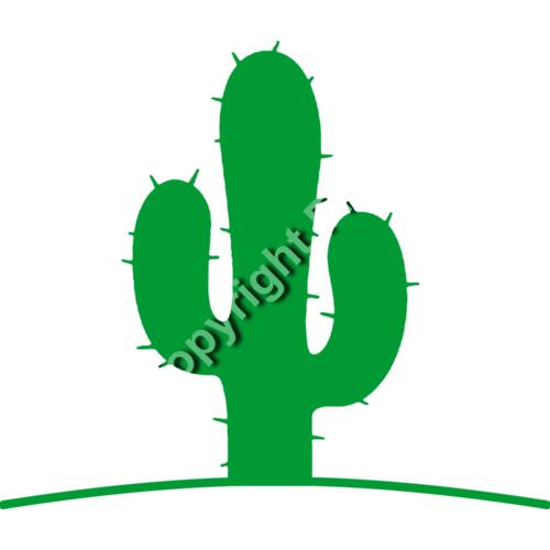 924 Cactus Thumbnail