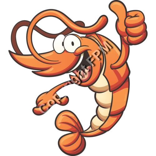 630 Shrimp Thumbnail