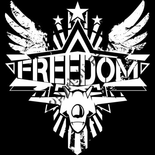 977 Freedom Jet Thumbnail