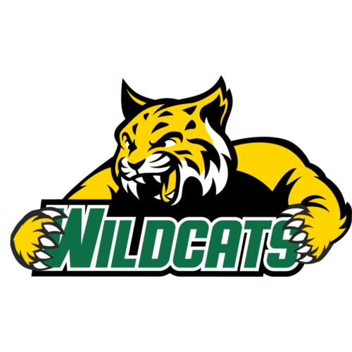 962 Wildcats Thumbnail
