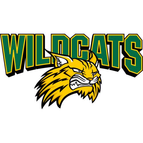 963 Wildcats Thumbnail