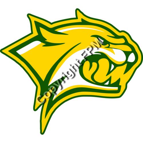 964 Wildcat Thumbnail