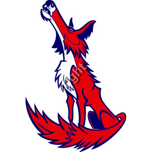 992 Coyote Thumbnail