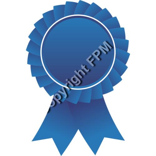 627 Blue Ribbon Thumbnail