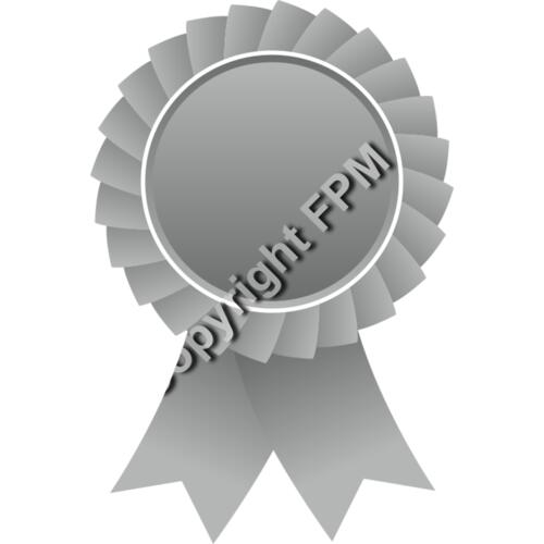 629 Silver Ribbon Thumbnail