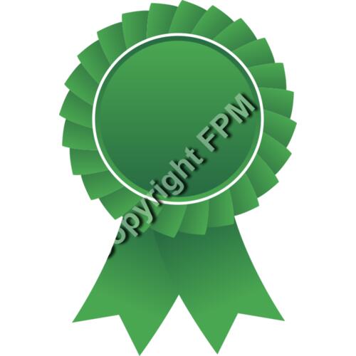 628 Green Ribbon Thumbnail