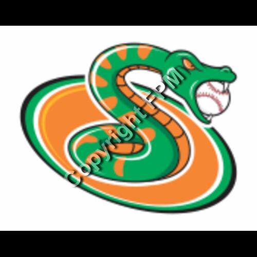 675 Snake Soccer Thumbnail