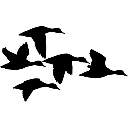 1063 Ducks Thumbnail