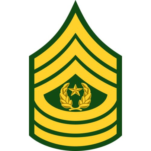 209 Command Sergeant Thumbnail