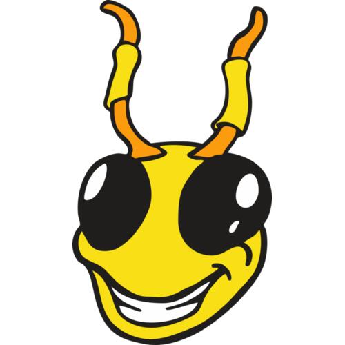 112 Bee Face Thumbnail