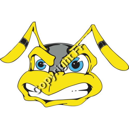 113 Bee Face Thumbnail