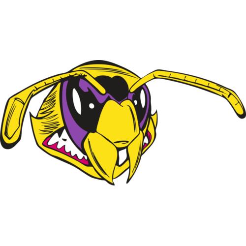 114 Bee Face Thumbnail