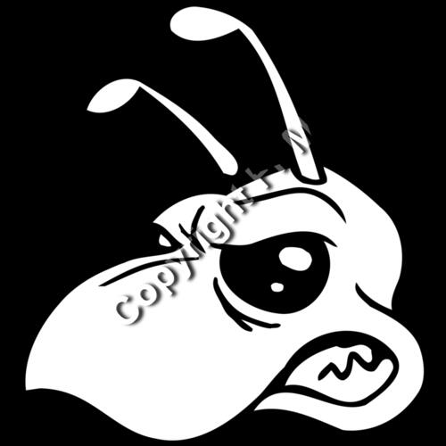 135 Bee Face Thumbnail