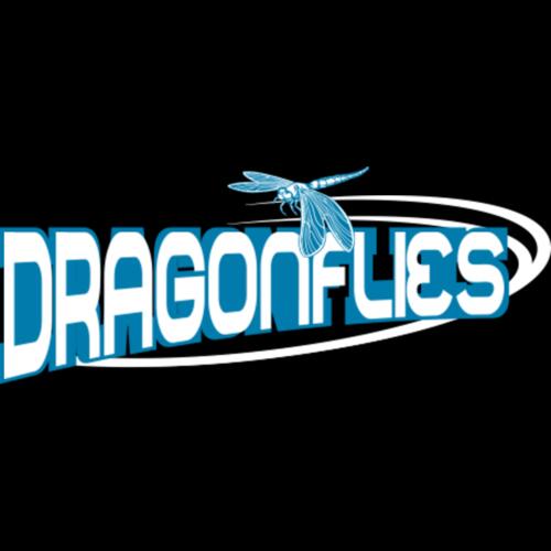 508 Dragonflies Thumbnail