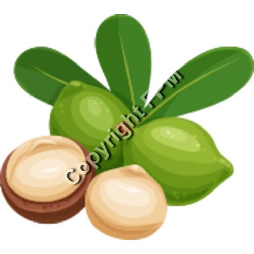 151 Macadamia Thumbnail