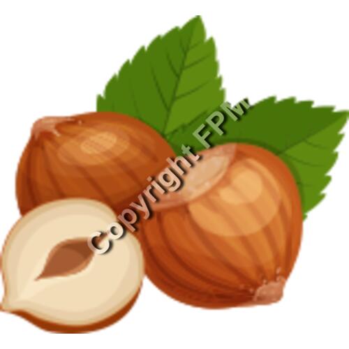 152 Hazelnuts Thumbnail