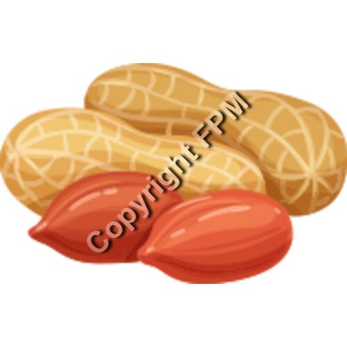 153 Peanut Thumbnail