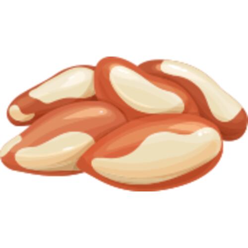 155 Brazil Nut Thumbnail