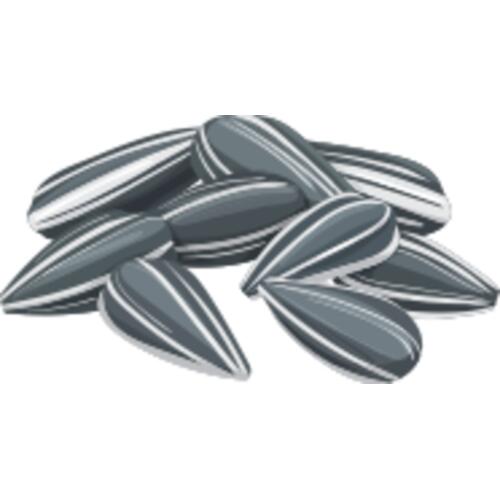 156 Sunflower Seeds Thumbnail