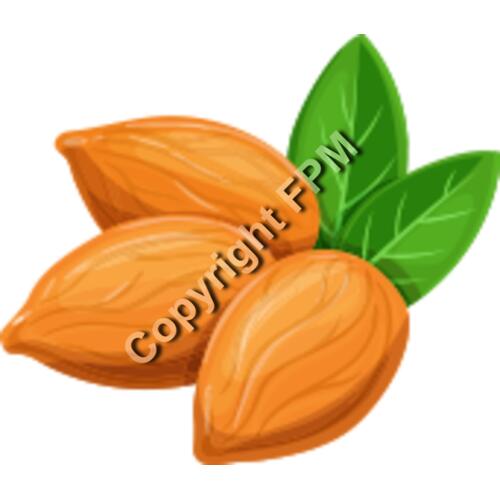 157 Almond Thumbnail