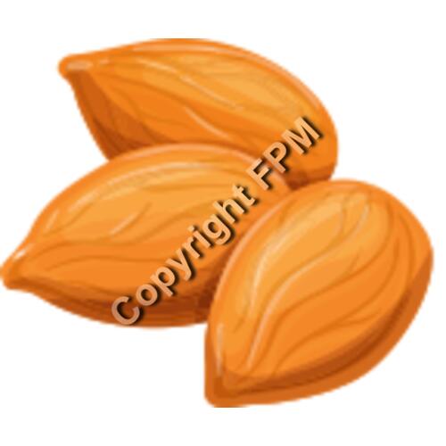 158 Almond Thumbnail