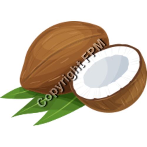 162 Coconut Thumbnail