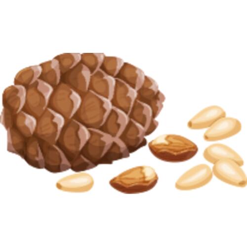 163 Pine Nuts Thumbnail