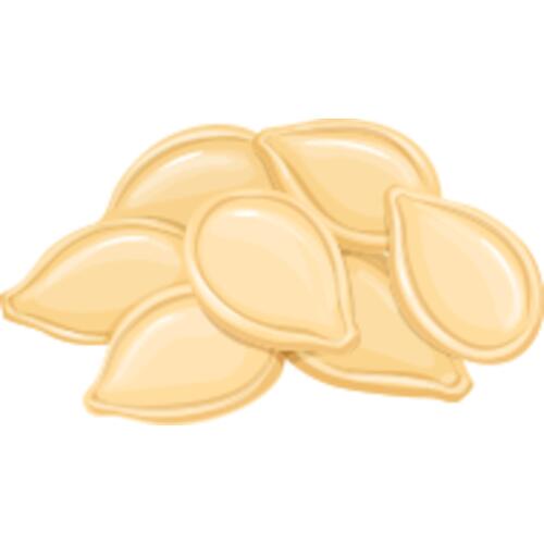 166 Pumpkin Seeds Thumbnail