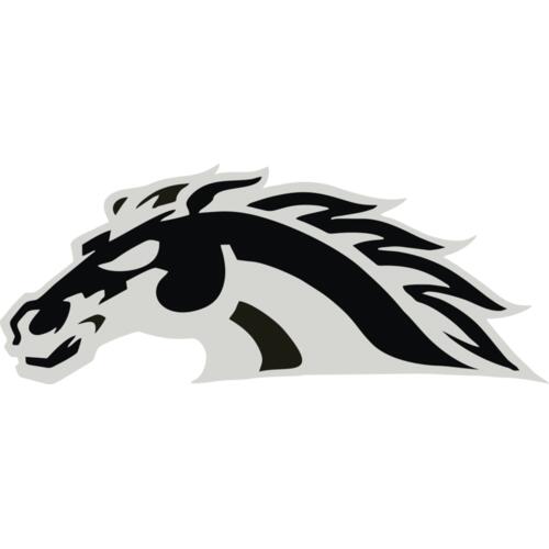 523 Mustang Thumbnail