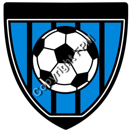 557 Soccer Shield Thumbnail