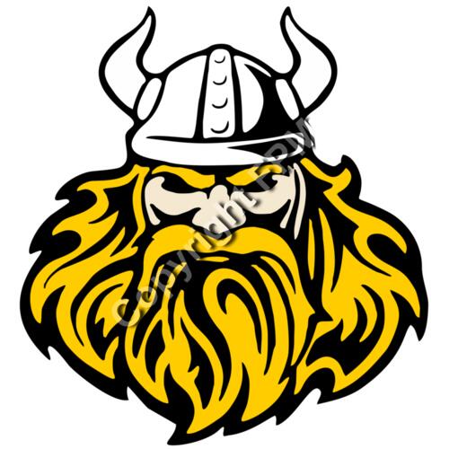 565 Viking Thumbnail