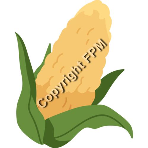 153 Corn Thumbnail