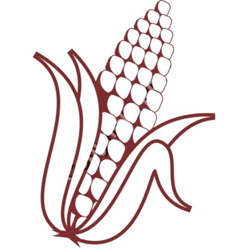 263 Corn Thumbnail