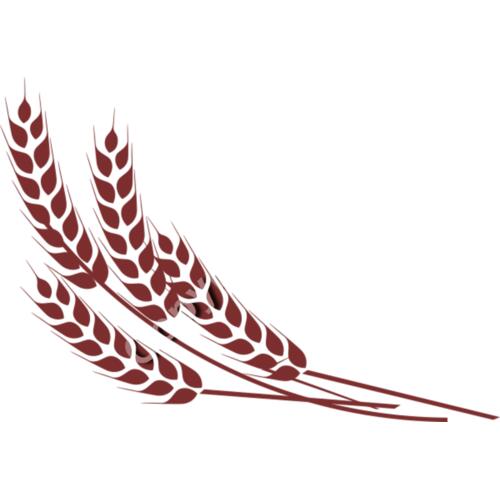 264 Wheat Thumbnail