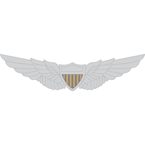 9004 Army Wings Thumbnail