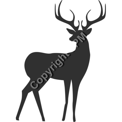 802 Deer Thumbnail