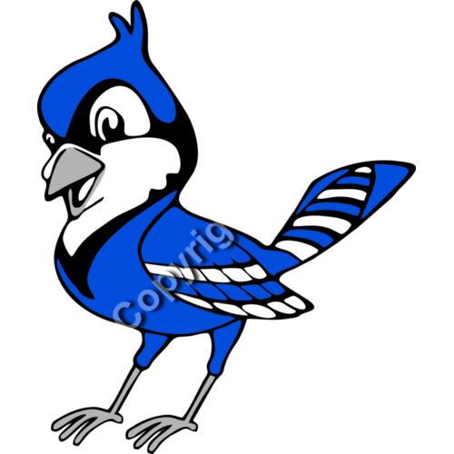 1029 Jay Birds 1029 Jay Birds Thumbnail