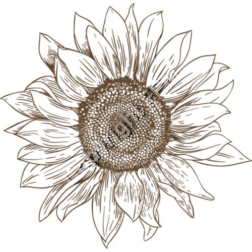 A1012 Sunflower Thumbnail