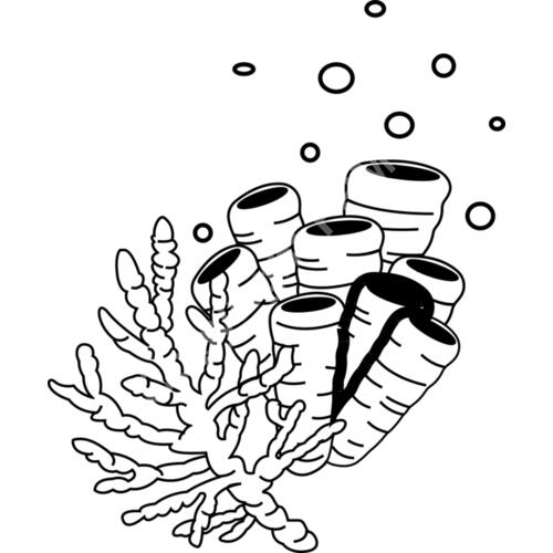 A1208 Coral Thumbnail