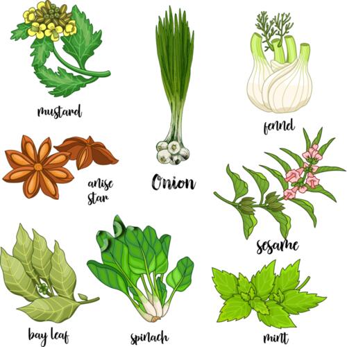 A1232 Herbs Thumbnail