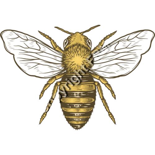 A1260 Honey Bee Thumbnail