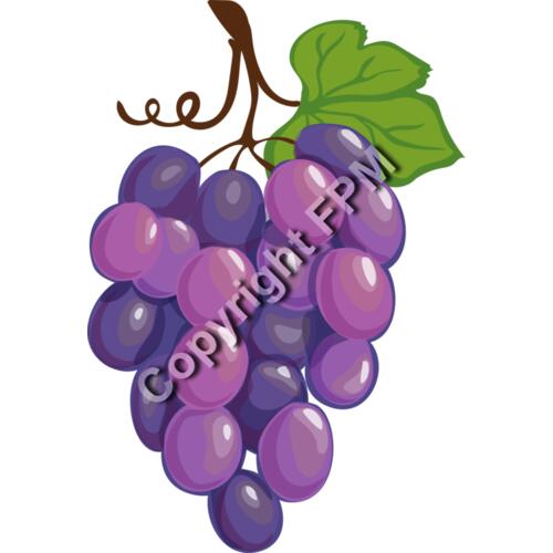 A1278 Grapes Thumbnail