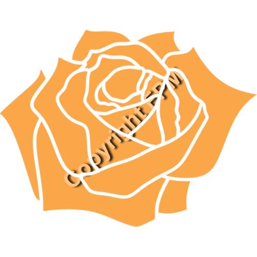 A1329 Rose Thumbnail