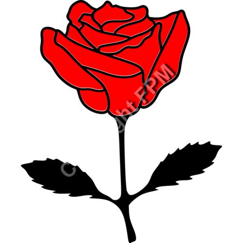 A1332 Rose Thumbnail