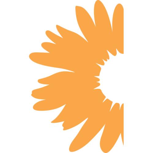 A1333 Daisy Thumbnail