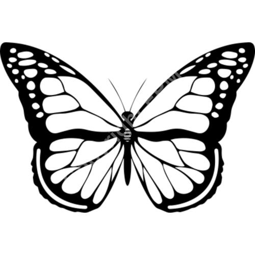 A1088 Butterfly Thumbnail
